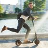 8.5 Inch Inner Honeycomb Tire 36V 10A.h Electric Scooter Black