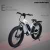 AOSTIRMOTOR Hot Fat Tire Adults Electric Bicycle 26 In. Electric Mountain Bike; 48V 13AH ; S07-G(White)