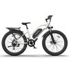AOSTIRMOTOR Hot Fat Tire Adults Electric Bicycle 26 In. Electric Mountain Bike; 48V 13AH ; S07-G(White)