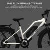 AOSTIRMOTOR Hot Fat Tire Adults Electric Bicycle 26 In. Electric Mountain Bike; 48V 13AH ; S07-G(White)